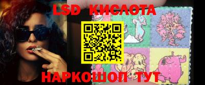 прущие грибы Гатчина